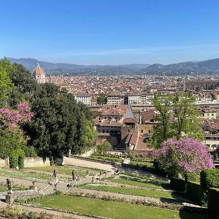 Swallow Balcony Firenze
